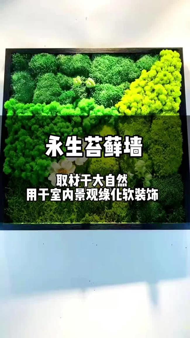 永生苔藓墙,应用于办公室、酒店、培训机构、设计院等场景的墙面软装饰,质感好,可定制图案,有需要的老板欢迎评论区留言! #永生苔藓墙 #植物墙 #...