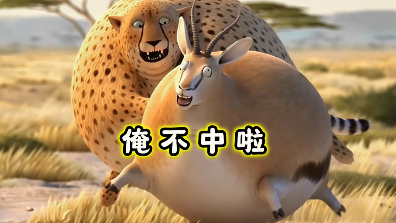 圆滚滚の河南动物们 2