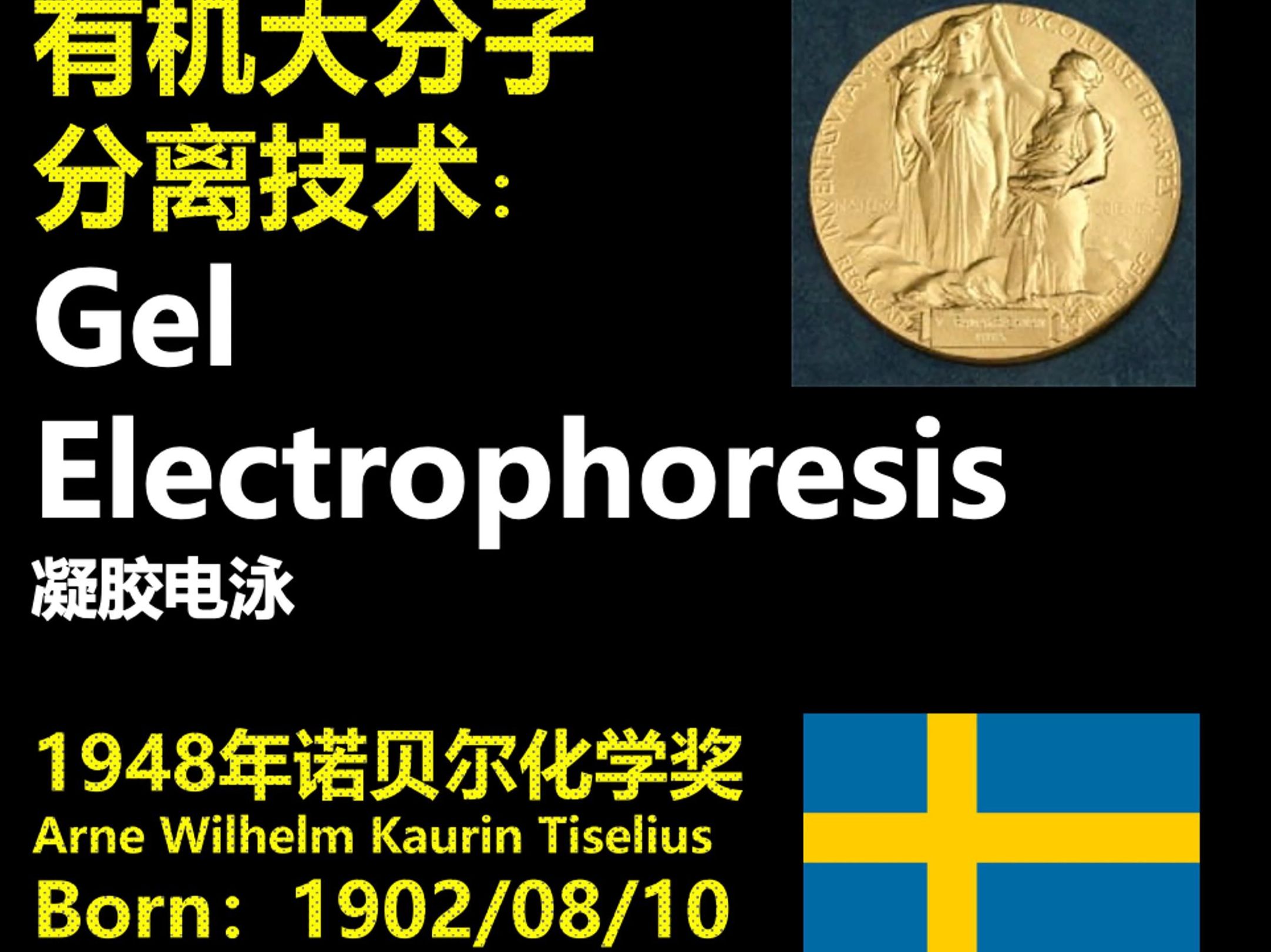 有机大分子分离技术:凝胶电泳 1948年诺贝尔化学奖哔哩哔哩bilibili