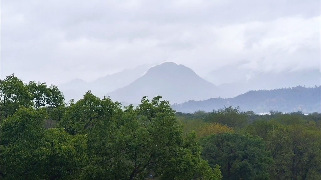 雨中楠溪 别有一番风景哔哩哔哩bilibili