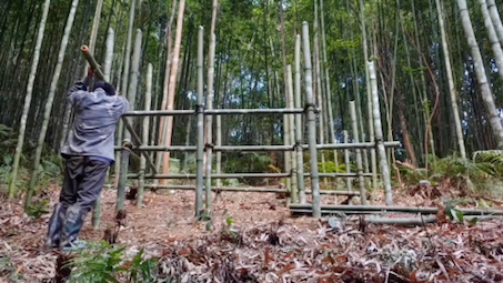 [图]小伙定居深山老林，仅凭一手竹艺绝活，搭建出野外竹木房天花板！