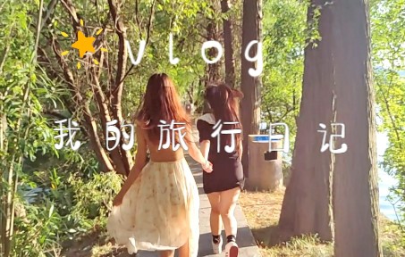 【武汉|东湖vlog】震惊!东湖竟有这等美景!!当代大学生的出行拍摄日常.哔哩哔哩bilibili