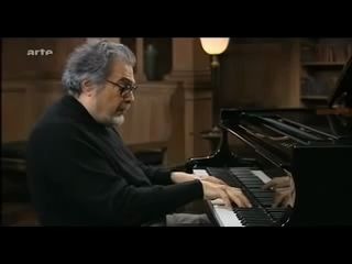 [图]【弗莱舍】巴赫：羊儿在静静地吃草 BWV.208 Schafe können sicher weiden (BACH) Leon Fleisher