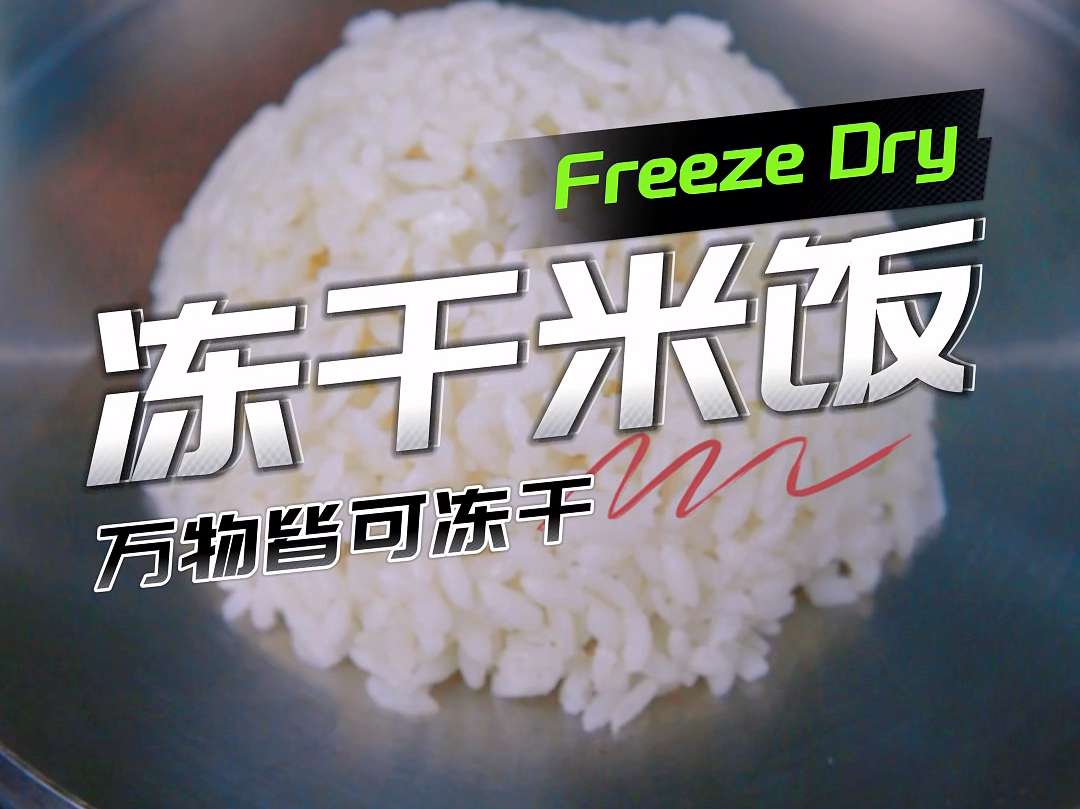 冻干米饭和自热米饭、免煮冲泡米饭有什么区别?#冻干技术 #米饭 #冻干米饭哔哩哔哩bilibili