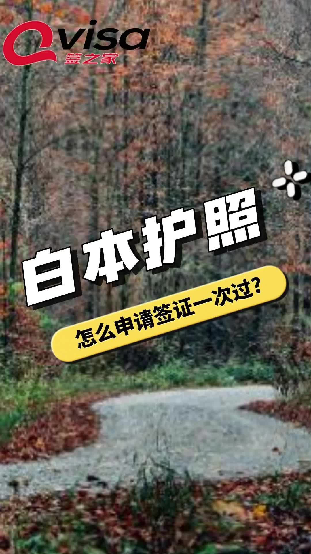 白本护照怎么申请签证一次过哔哩哔哩bilibili