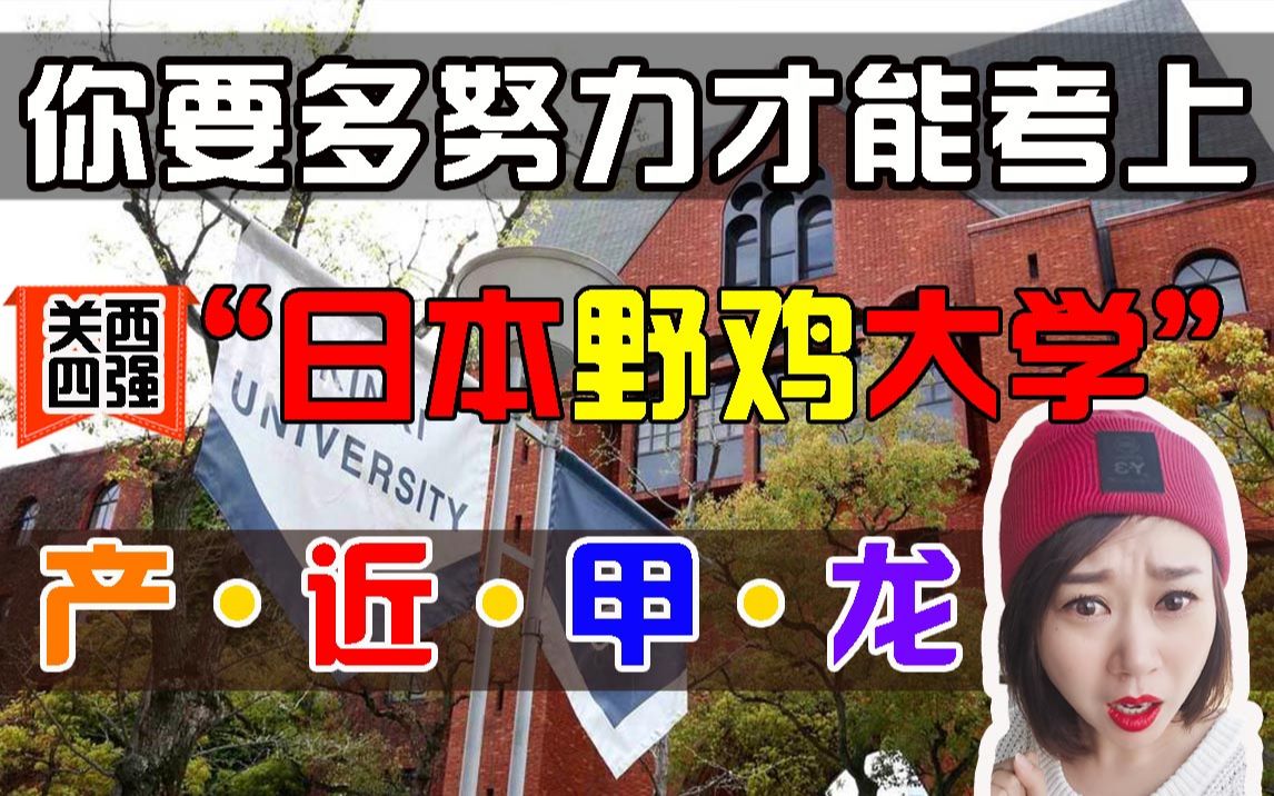 【日本留学】你要多努力才能考上日本关西八强之——产近甲龙?(京都产业大学 近畿大学 甲南大学 龙谷大学)哔哩哔哩bilibili