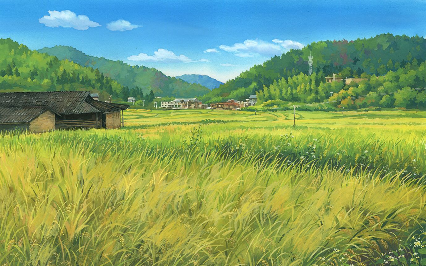 不透明水彩 原创 给一个朋友画的稻田风景