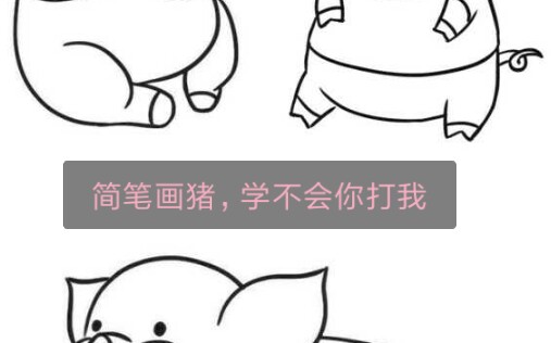 简笔画~小猪猪 零基础哔哩哔哩bilibili