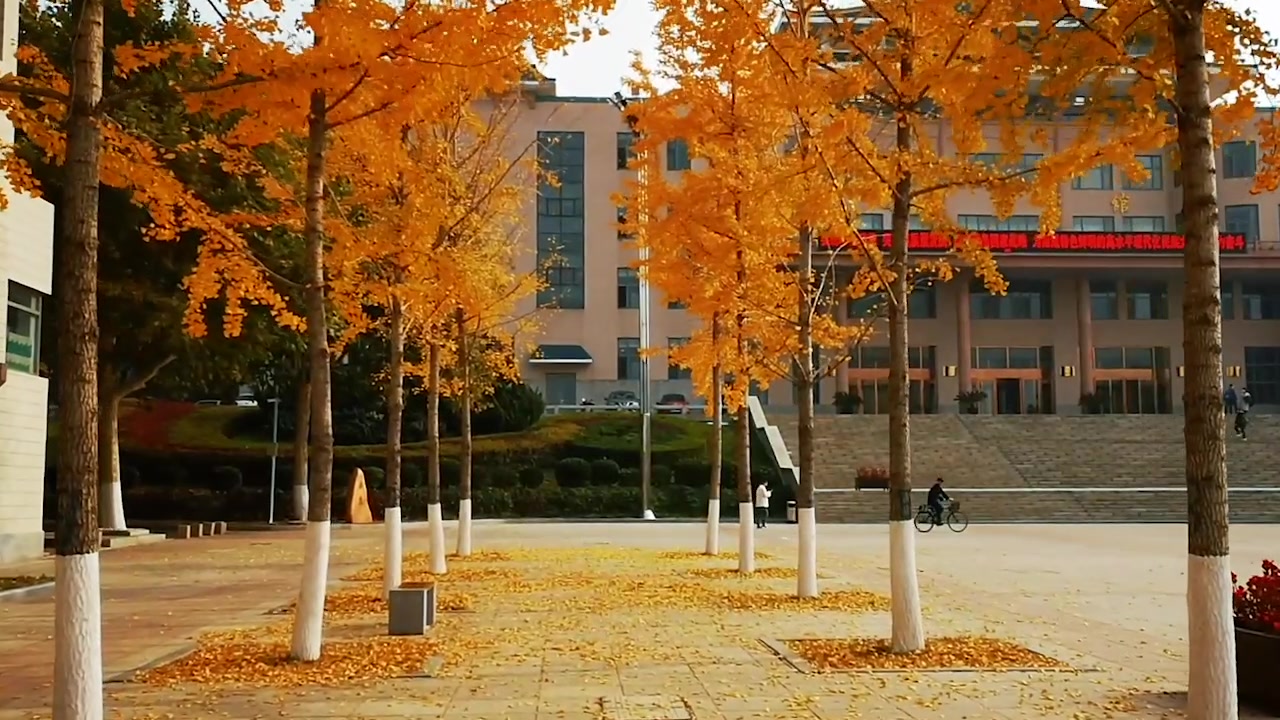 [图]大连民族大学秋景