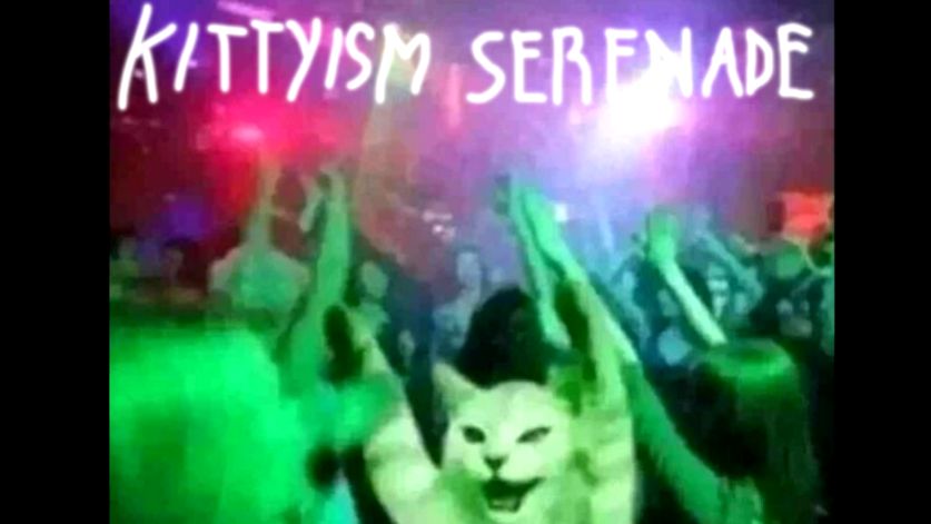 [图]Kittyism Serenade猫咪主义小夜曲/去过夜店的猫都爱听的歌单