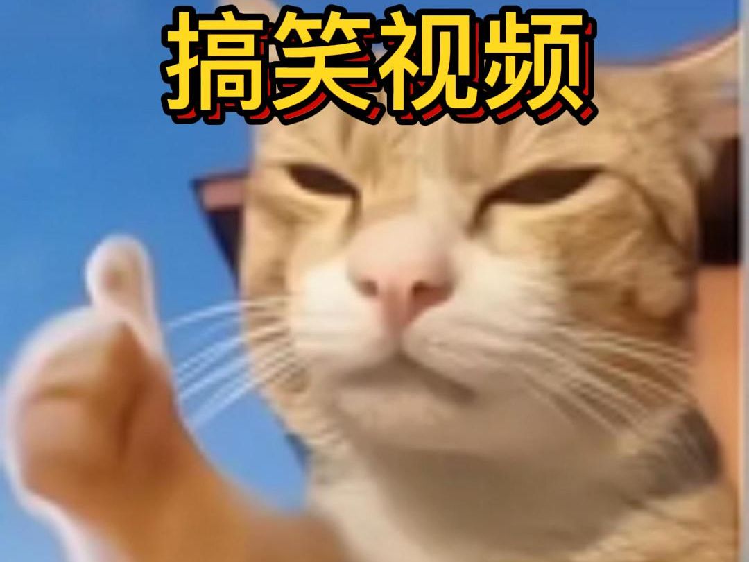 盘点那些满级人类搞笑日常