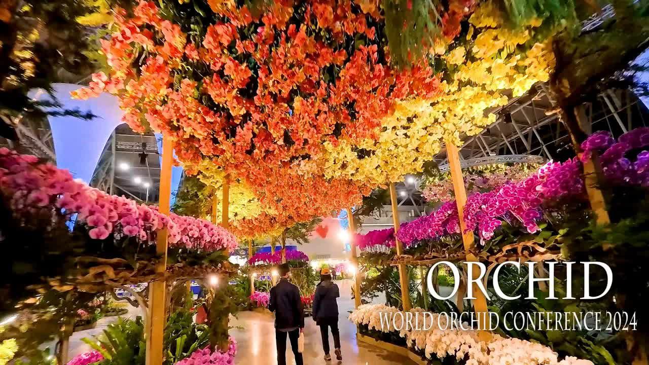 [图]【4K Orchid】2024年第23屆世界国际兰花展, 中国台湾 (2024/02/27-29)