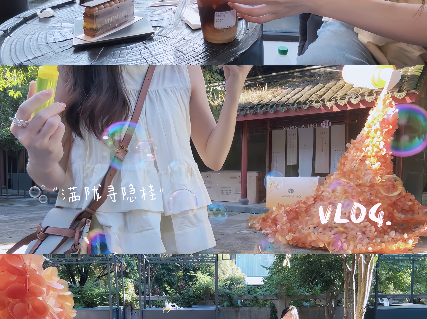 VLOG.满陇寻隐桂|“桂花,是秋天的落款”哔哩哔哩bilibili