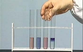 初中化学实验58.酸碱指示剂哔哩哔哩bilibili