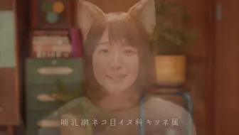 日清のどん兵衛cm 煩ぎつね 篇 メイキング 哔哩哔哩 Bilibili