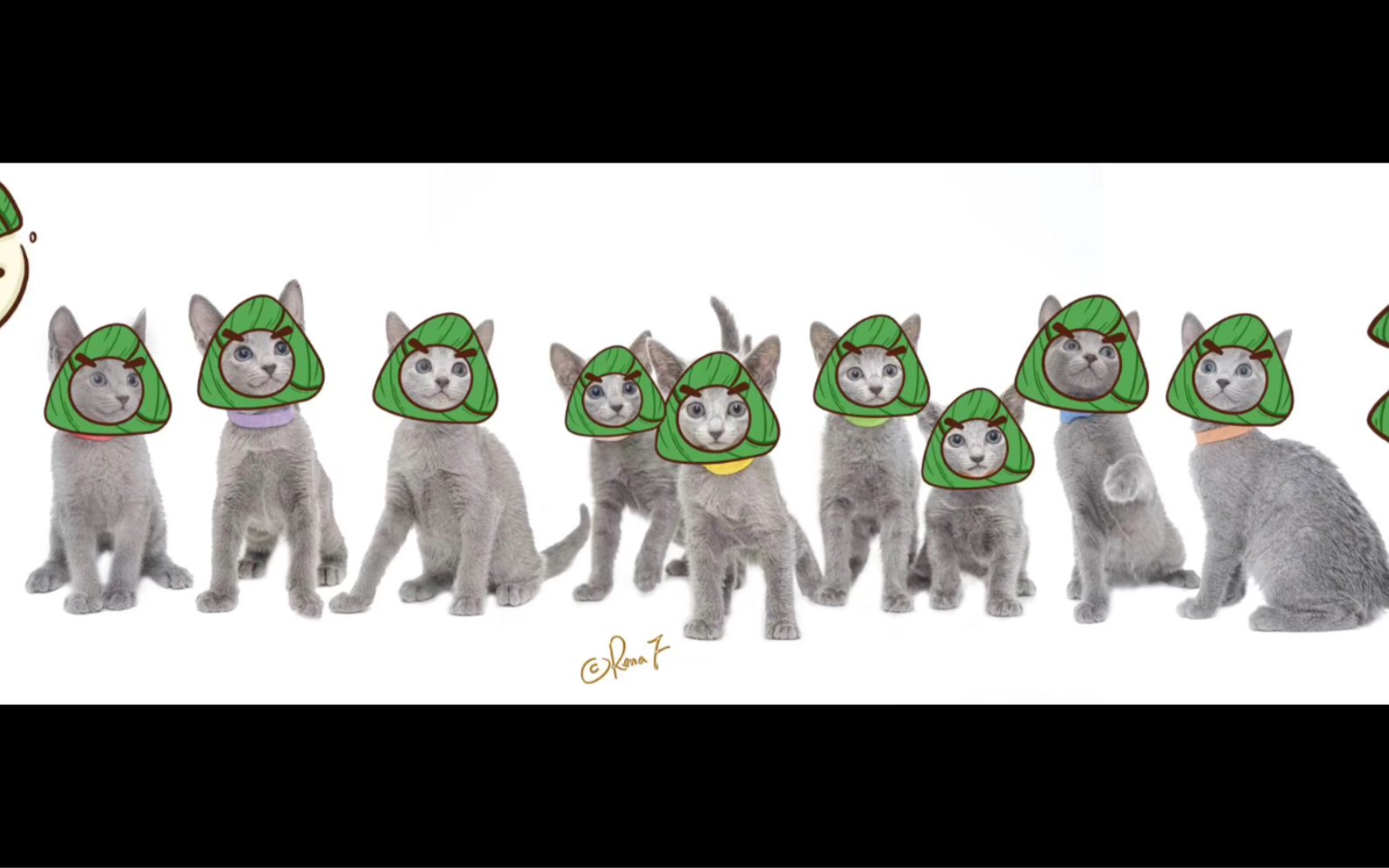 粽子宝宝 俄罗斯蓝猫 端午