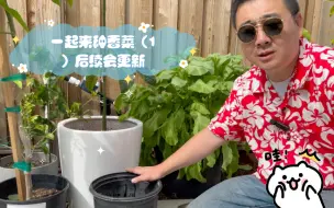 Télécharger la video: 一起来种香菜（1）后续会更新