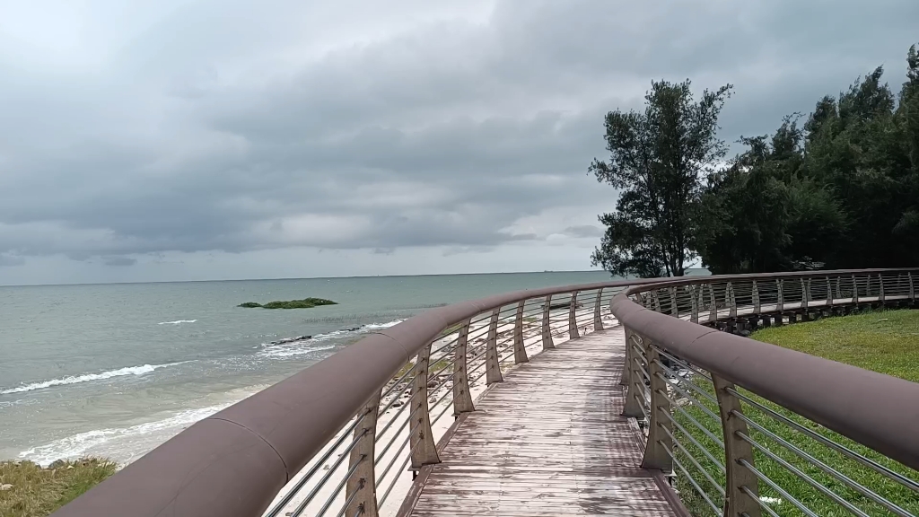 北海银滩红树林