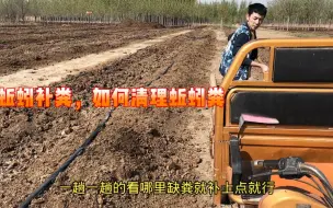 Tải video: 蚯蚓要什么时候添加粪便，怎么清理蚯蚓粪这些你都知道吗