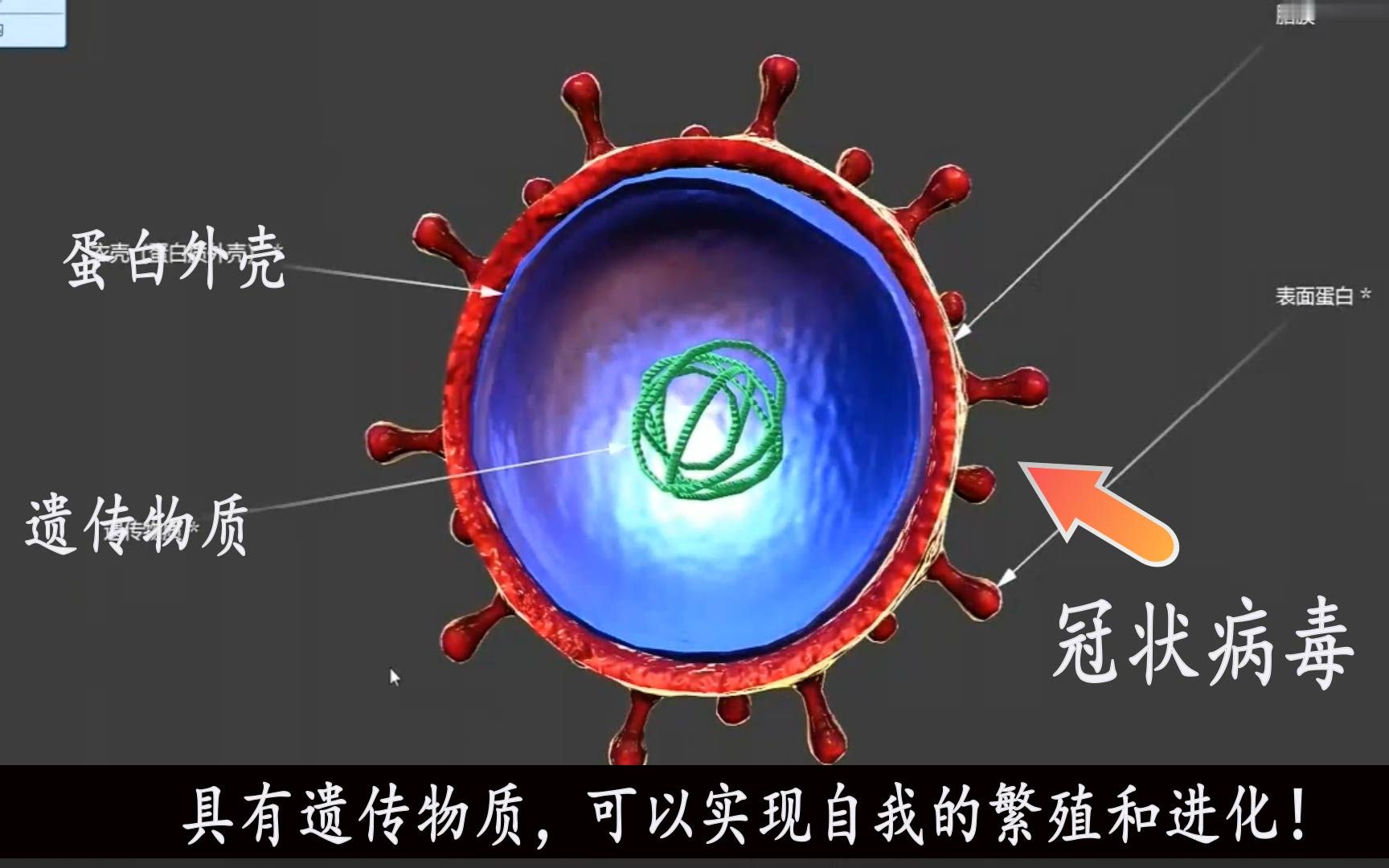 病毒是生命体吗?为什么它可以进行繁殖和进化!哔哩哔哩bilibili