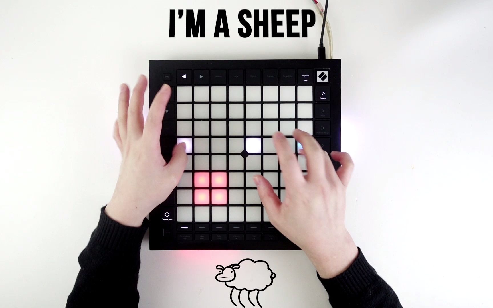 [图]【launchpad】羊为什么哔哔 Beep Beep I'm a sheep