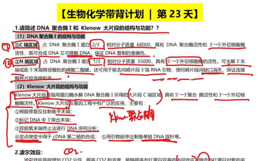 【生物考研必看】生物化学带背计划|第23期|Klenow片段|波尔效应|名词解释|简答题|每天更新2个重要考点哔哩哔哩bilibili