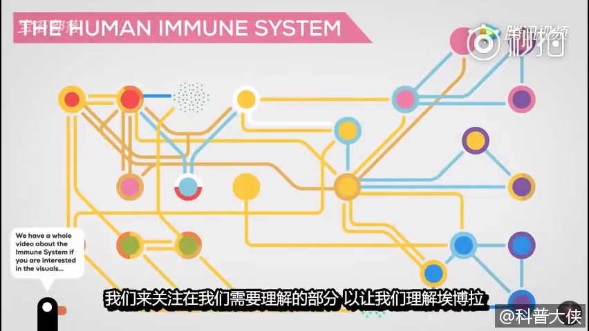 4分钟看懂埃博拉病毒,人类的免疫系统是如何为生存而战的 哔哩哔哩bilibili