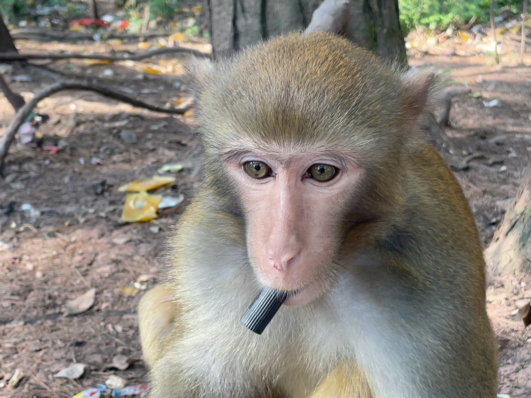 小帅哥抽电子烟