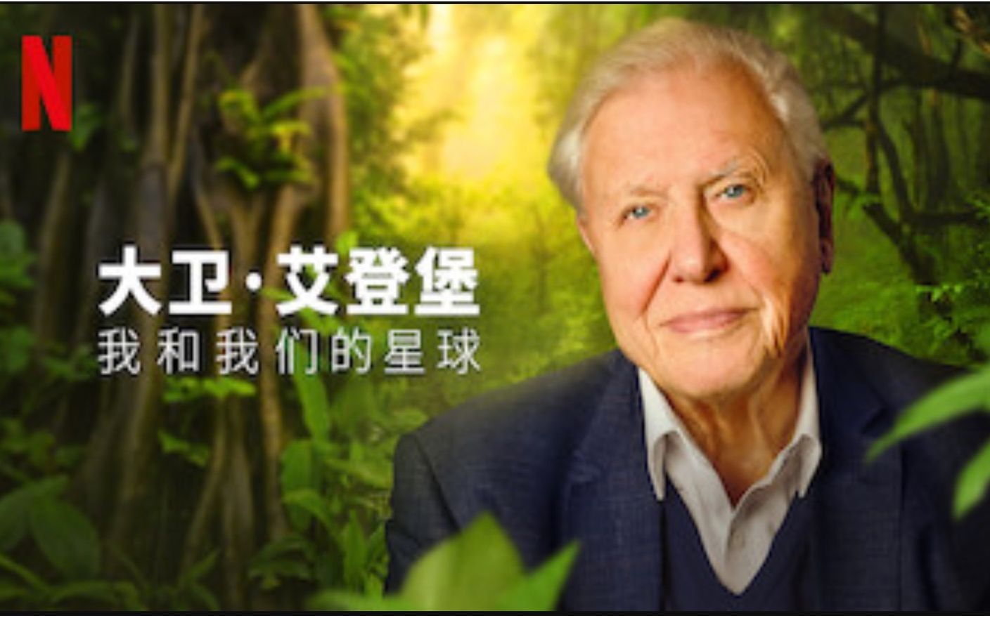 【Netflix】大卫·爱登堡：我和我们的星球 1080P中英文双语字幕 David Attenborough A Life On Our Planet