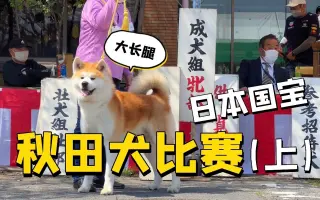 潜入日本 哔哩哔哩 Bilibili