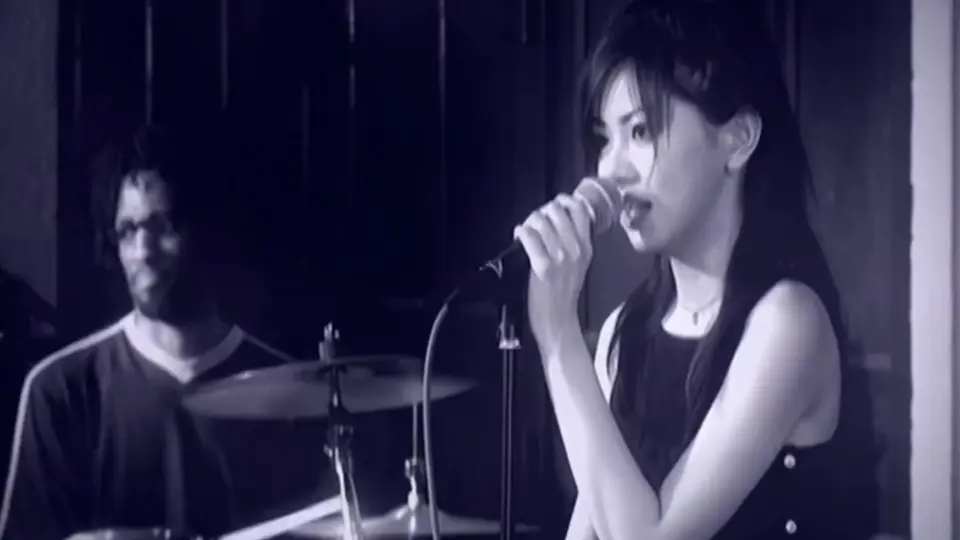 ZARD MUSIC VIDEO COLLECTION～25th ANNIVERSARY～_哔哩哔哩_bilibili