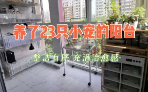 Télécharger la video: 不足4平米的阳台，我养了23只小宠。多宠家庭也可以整洁有序！