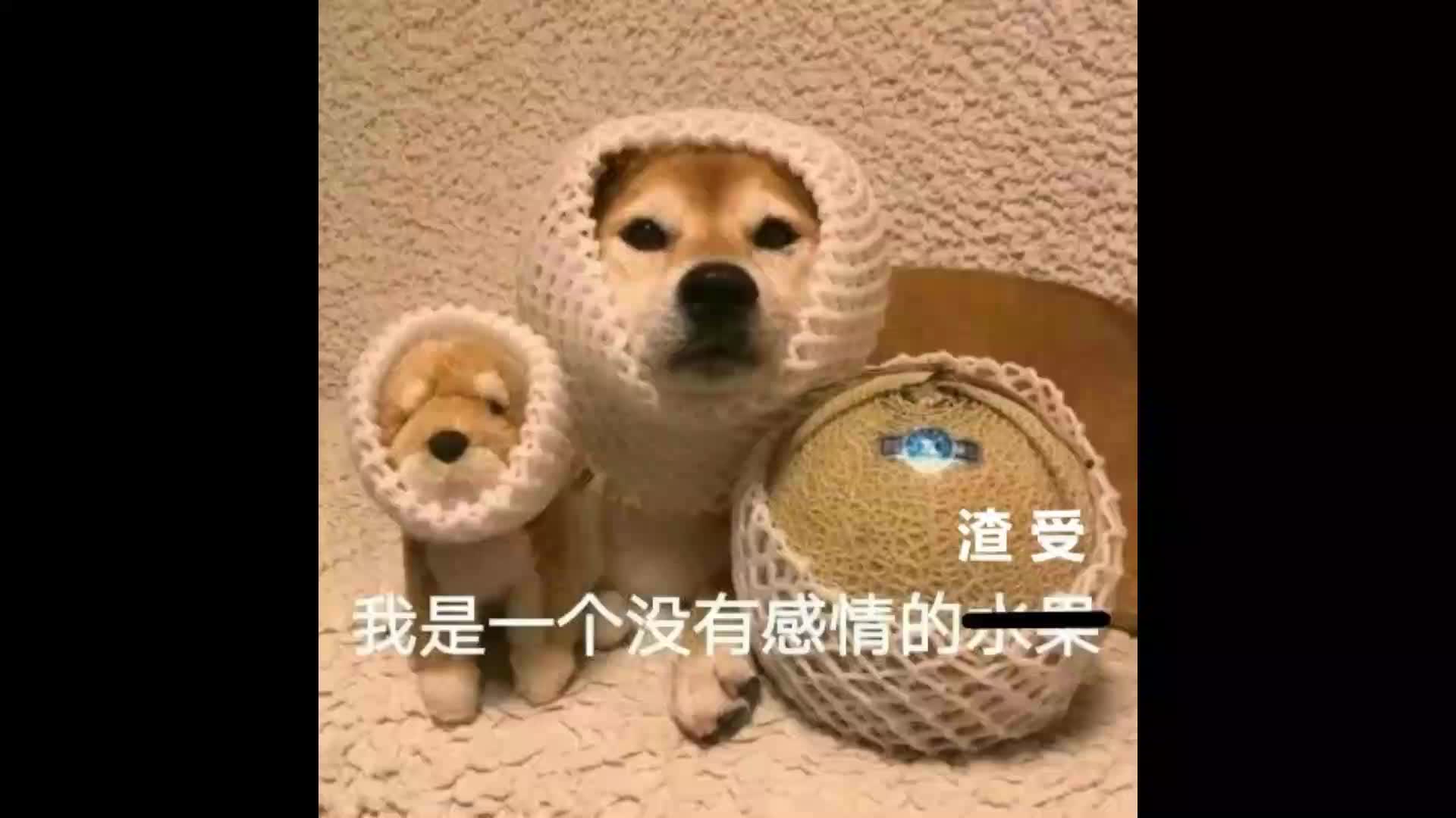 [图]【原耽推文】||快穿系列一||我真的是渣受啊啊啊啊！！