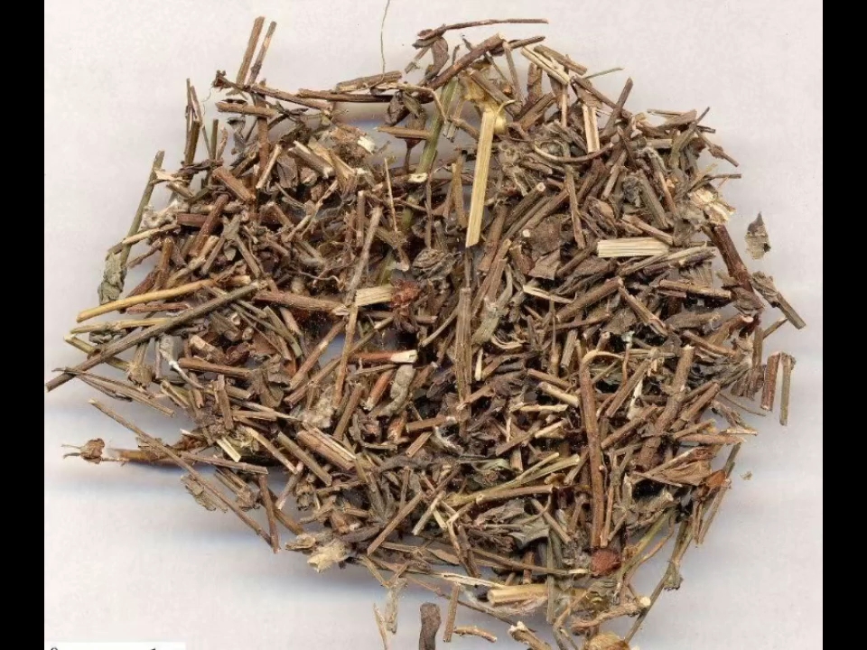 【中药名】刘寄奴 【别名】金寄奴,白花尾,六月雪【性味归经】性温