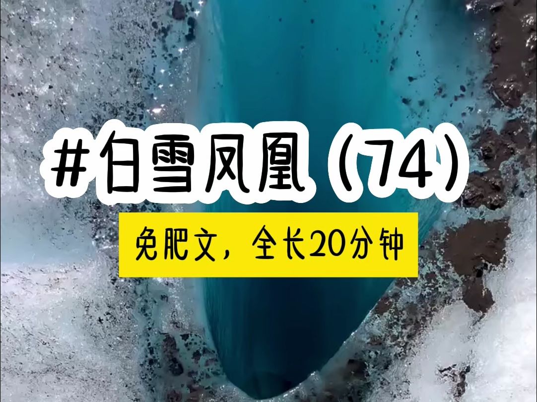 [图]茗《白雪凤凰》第74集