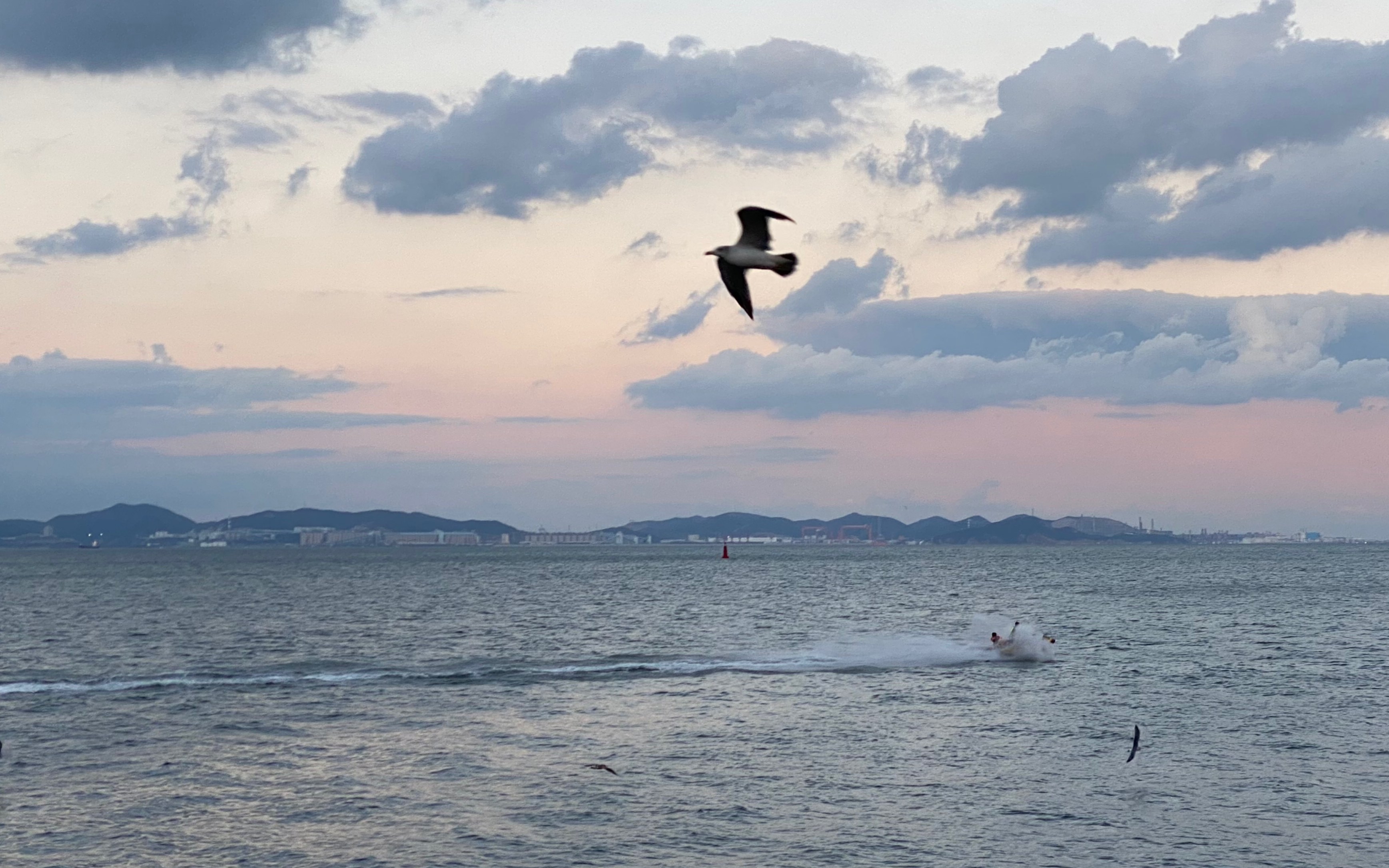 大连61东港|海边|看日落中的云卷云舒