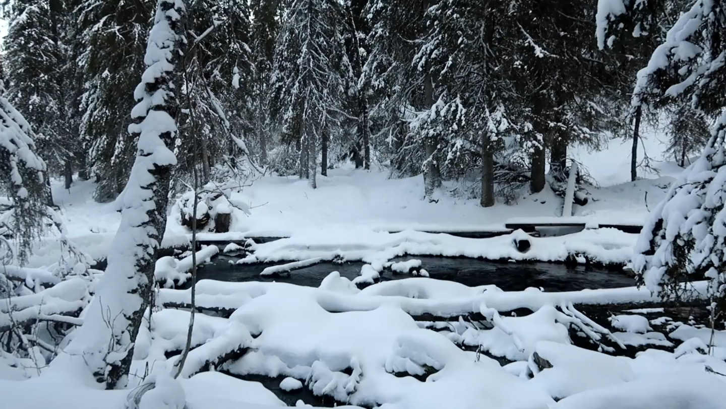 唯美大雪纷飞雪花飘落视频素材