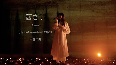 Aimer Live in 武道館 