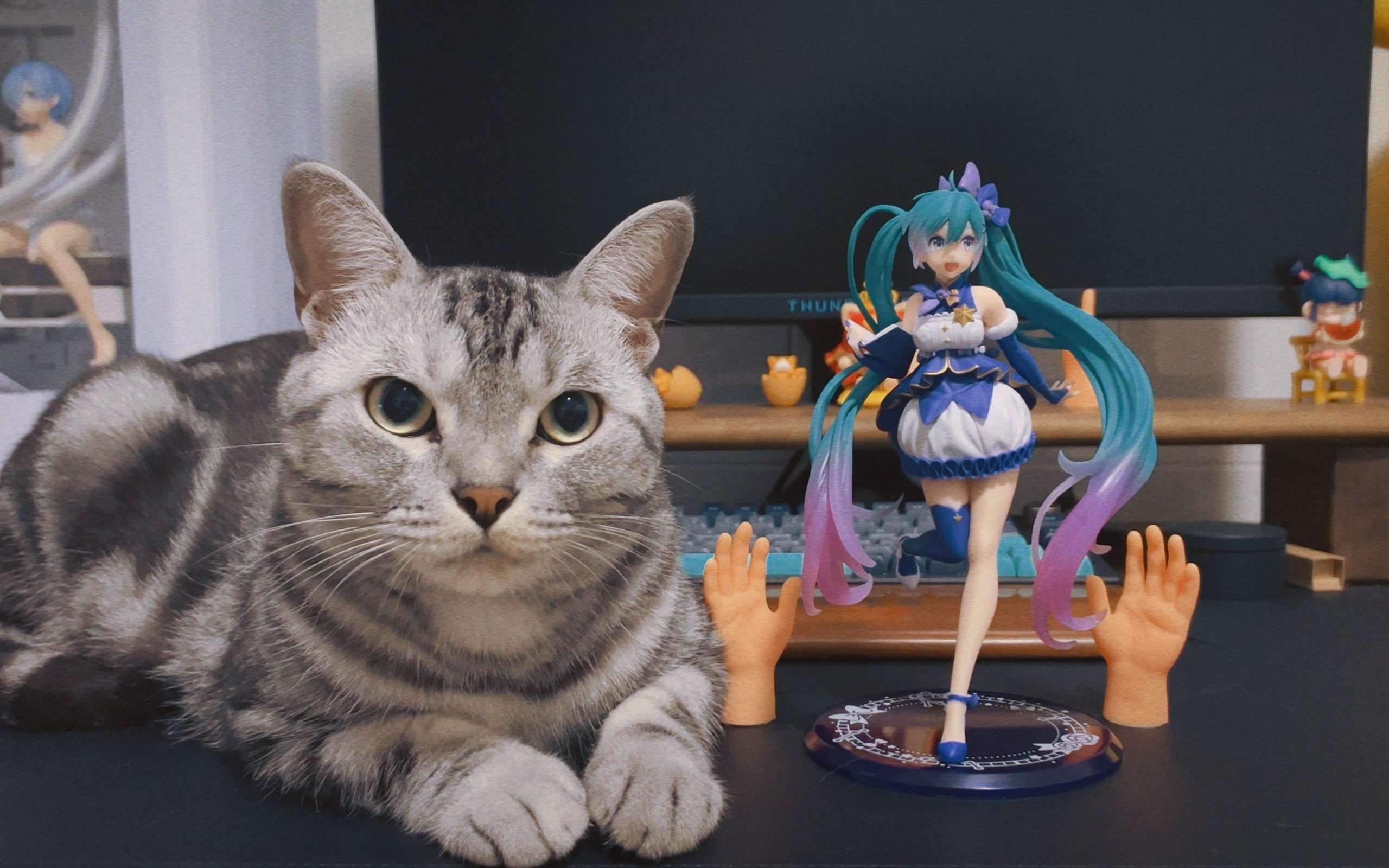 《Mikuの猫》未删减高清中字 雪初音哔哩哔哩bilibili