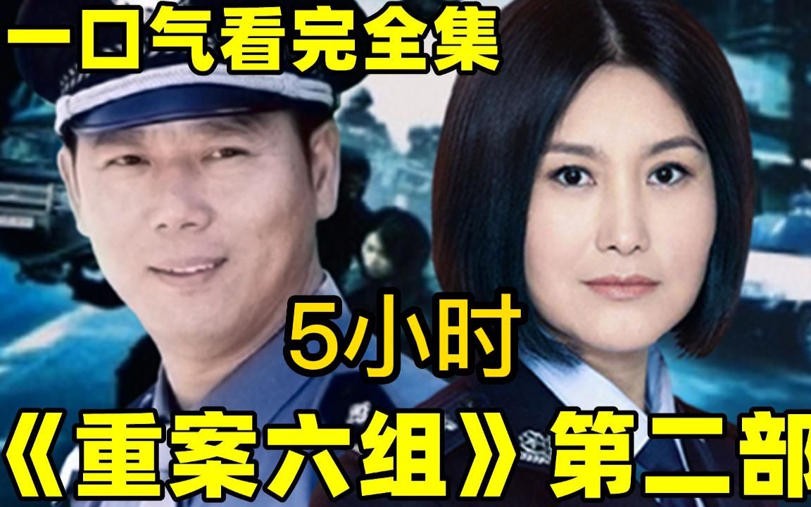 一口气看完经典刑侦破案神剧【重案六组】第二部,多个真实案例,破案过程险象环生!童年回忆杀~哔哩哔哩bilibili