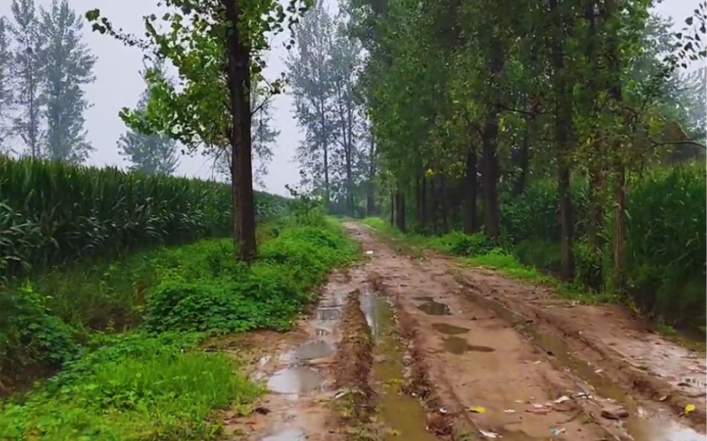 [图]你听……这是大自然的声音，记忆中童年雨后的乡间小路。当你回到家乡，你会慢慢发现，其实你一直思念的不是故乡，而是童年里的某段时光…