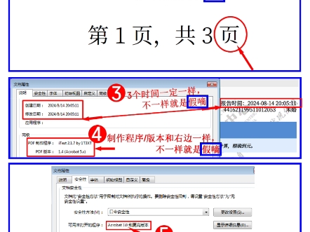 教你如何辨别真伪,哔哩哔哩bilibili