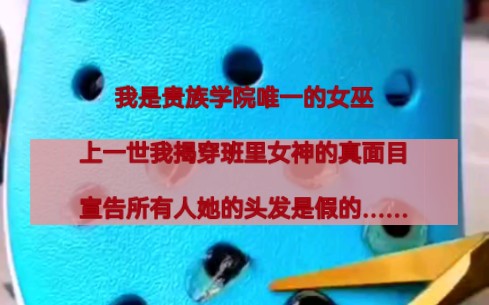 我是贵族学院唯一的女巫,上一世我揭穿班里女神的真面目,宣告所有人她的头发是假的……哔哩哔哩bilibili