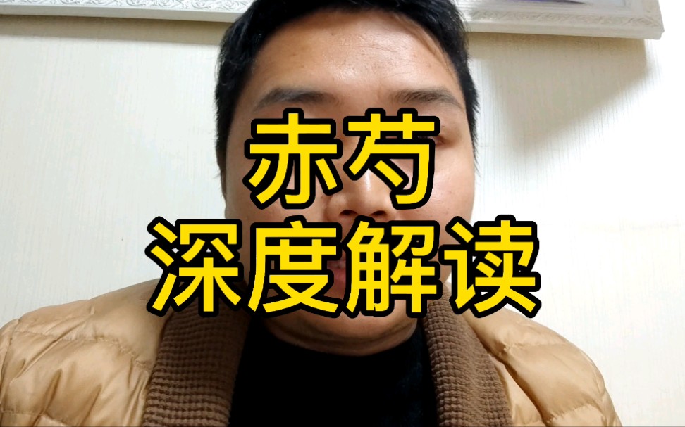 赤芍 深度解读,教你一些你能用到的知识.哔哩哔哩bilibili