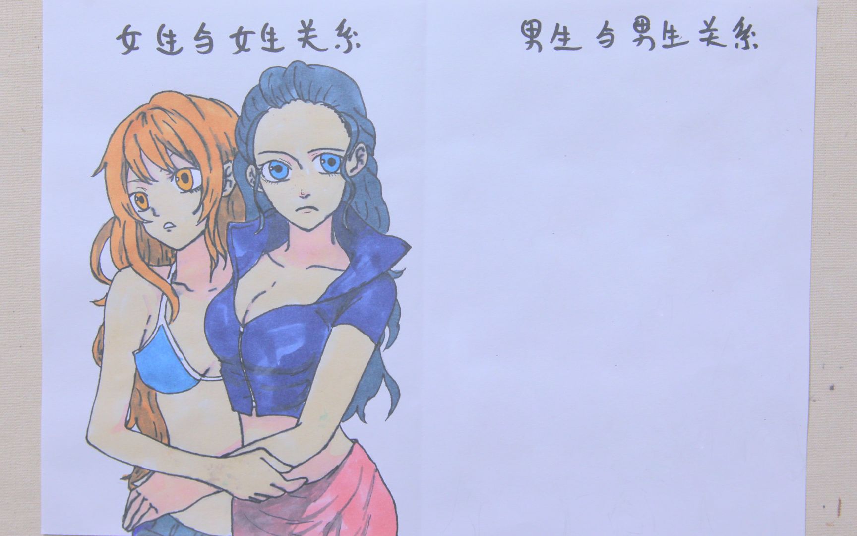 趣味漫画《海贼王》姐妹与兄弟情,这样一对比,男生的关系好喜欢