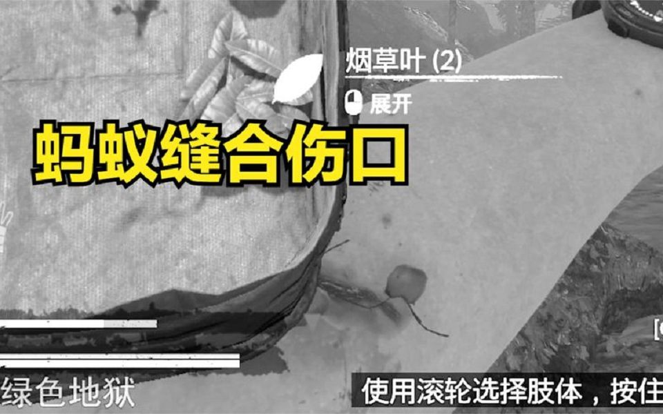 [图]绿色地狱前传5：解锁新技能蚂蚁缝合伤口