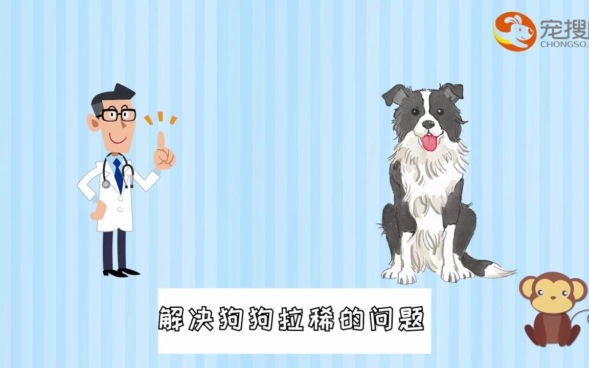 狗拉稀怎么办急救方法哔哩哔哩bilibili