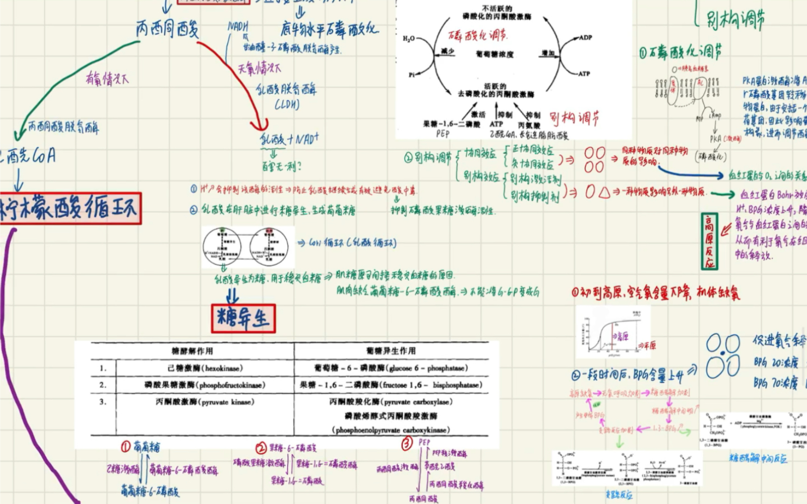 [图]史上最详细代谢讲解！一个视频全搞定