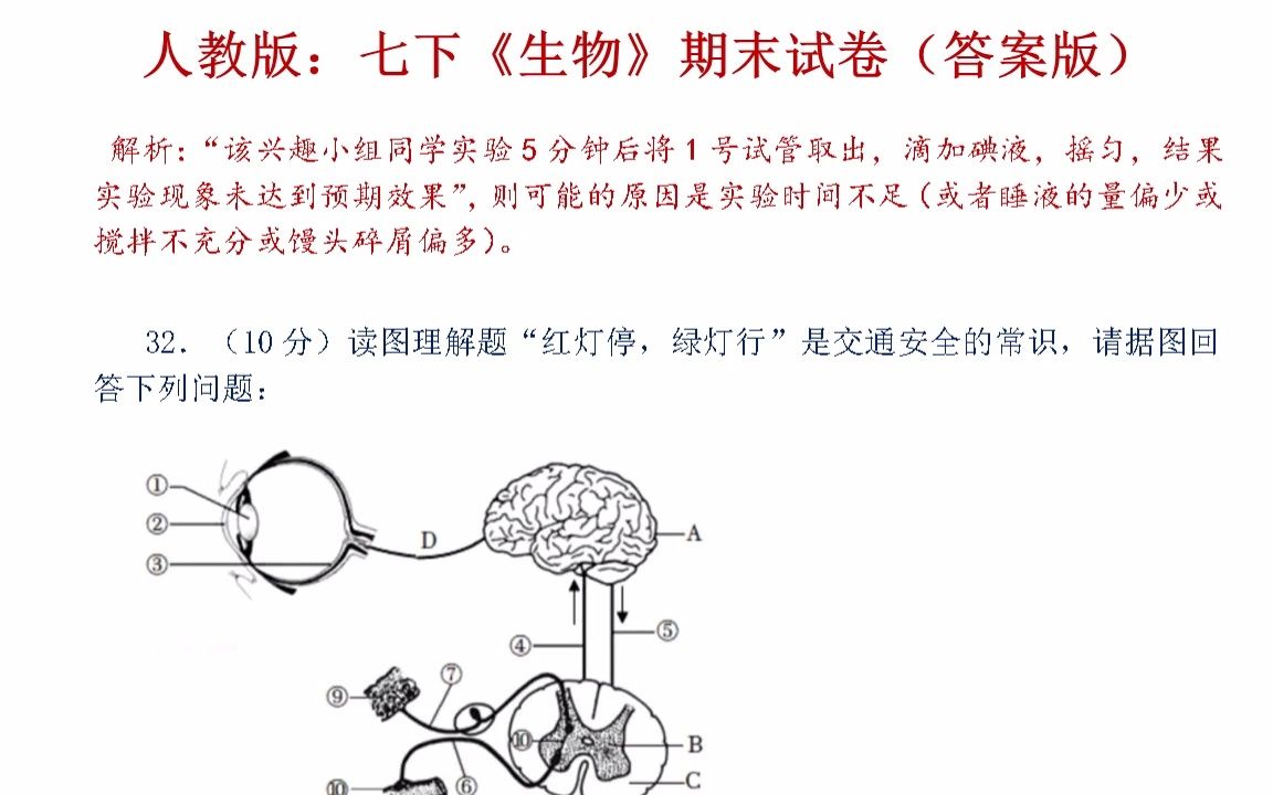 人教版:七下《生物》期末试卷(答案版)哔哩哔哩bilibili