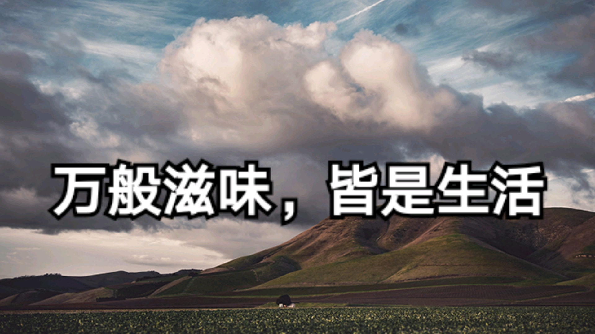 社会语录:万般滋味,皆是生活